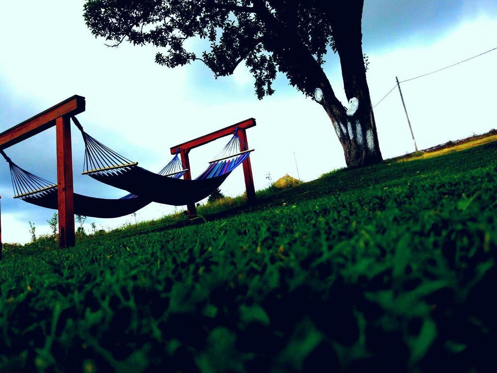 Pensiunea Casa Eden Marisel Luaran gambar